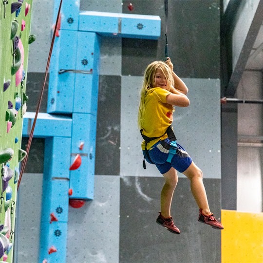 climbing wall belay