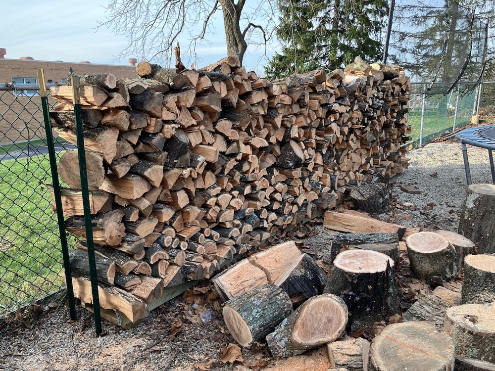 firewood drive in the yard