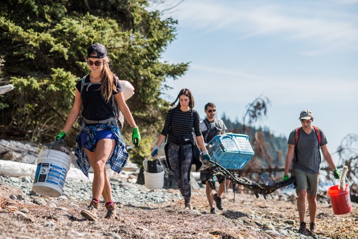 shoreline clean-up, November